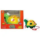Twirly Whirly Turtle from Funskool (9713100)