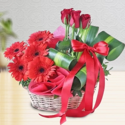 Graceful Basket Arrangement of Red Gerberas N Roses