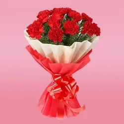 Gift Bouquet of Red Carnation Online 