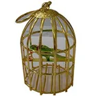 Deliver Golden Plated Bird Cage with Colorful Parrot