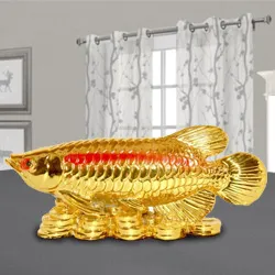 Send Golden Arowana Fish