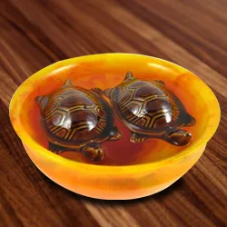 Buy Fengshui Bowl with  Tortoise