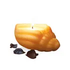 Online IRIS Sea Shell Aroma Candle Set