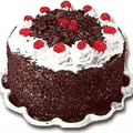 Send Cakes to Mumbai. We deliver Fresh Baked Cakes to Mumbai. Cakes to Mumbai includes Black Forest cake, Pineapple Cake, Chocolate cake and many more Flavours. We also deliver Cake from 5 Star Bakery in Mumbai. We can deliver Birthday Cake, Anniversary Cake and Wedding Cakes to your loved ones in Mumbai. We also deliver 2 tier and three tier Cakes in Mumbai. Send cakes as Gifts to Mumbai today.